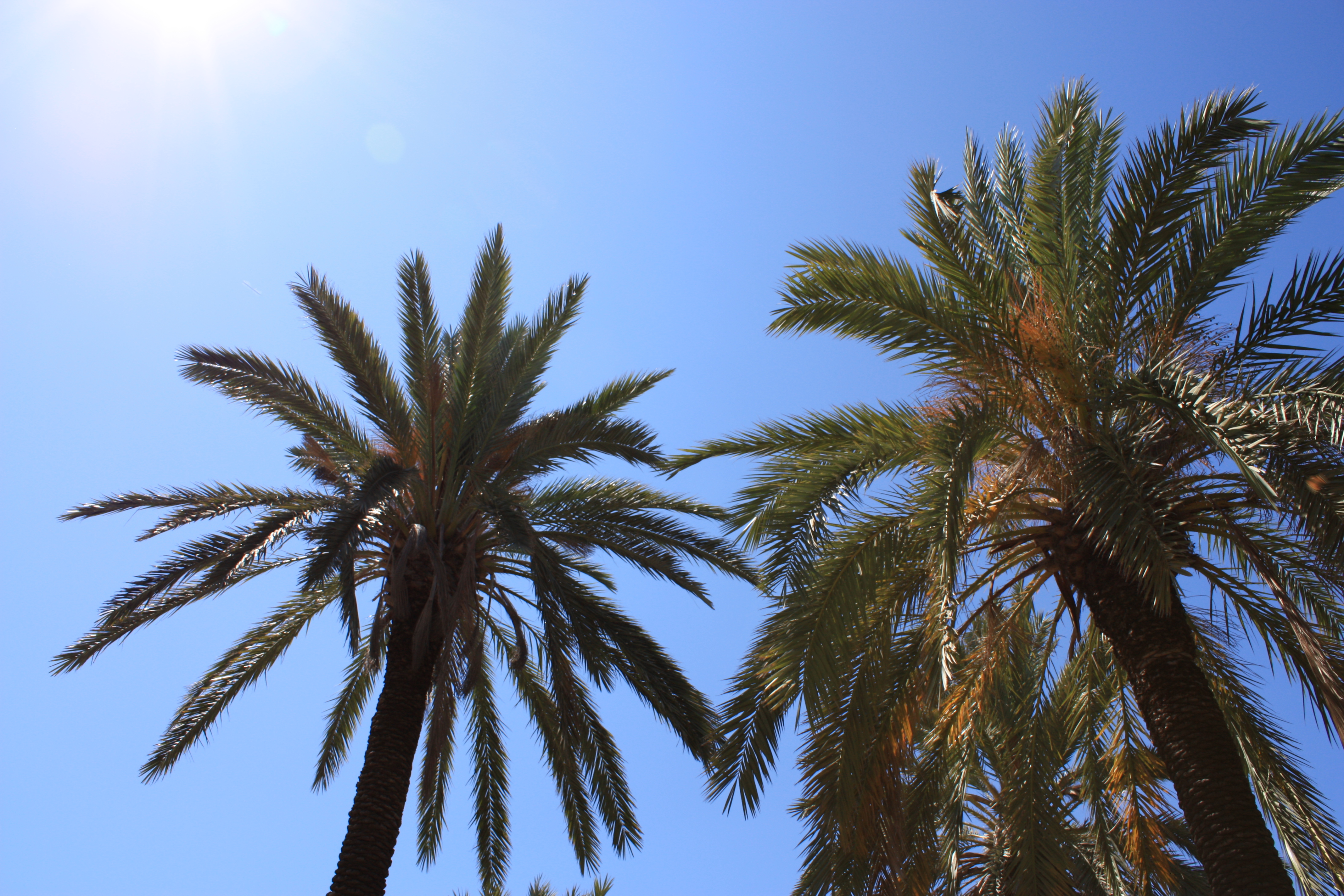 Beautiful Clearwater Florida